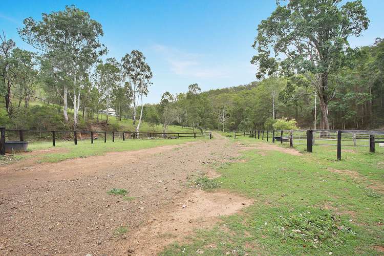 Sixth view of Homely ruralOther listing, Lot 21 Banks Creek Road, Banks Creek QLD 4306