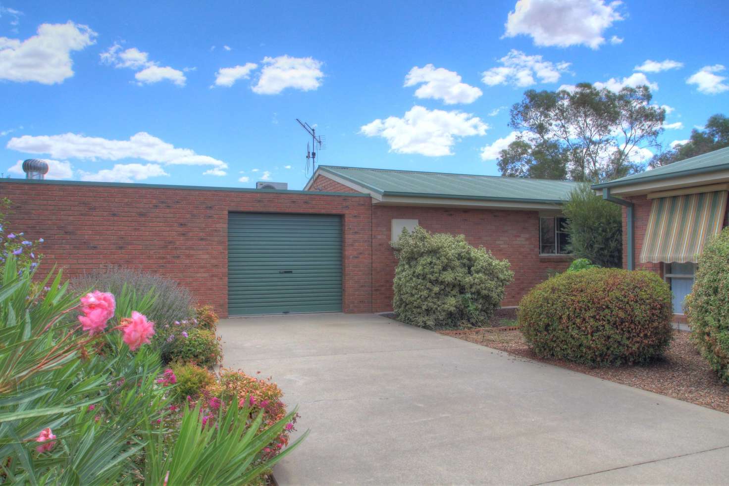 Main view of Homely unit listing, 5/82 Vermont Street, Barooga NSW 3644