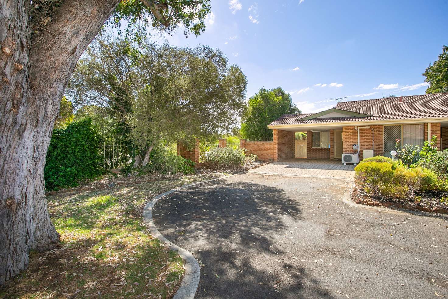 Main view of Homely unit listing, 1/133 West Road, Bassendean WA 6054