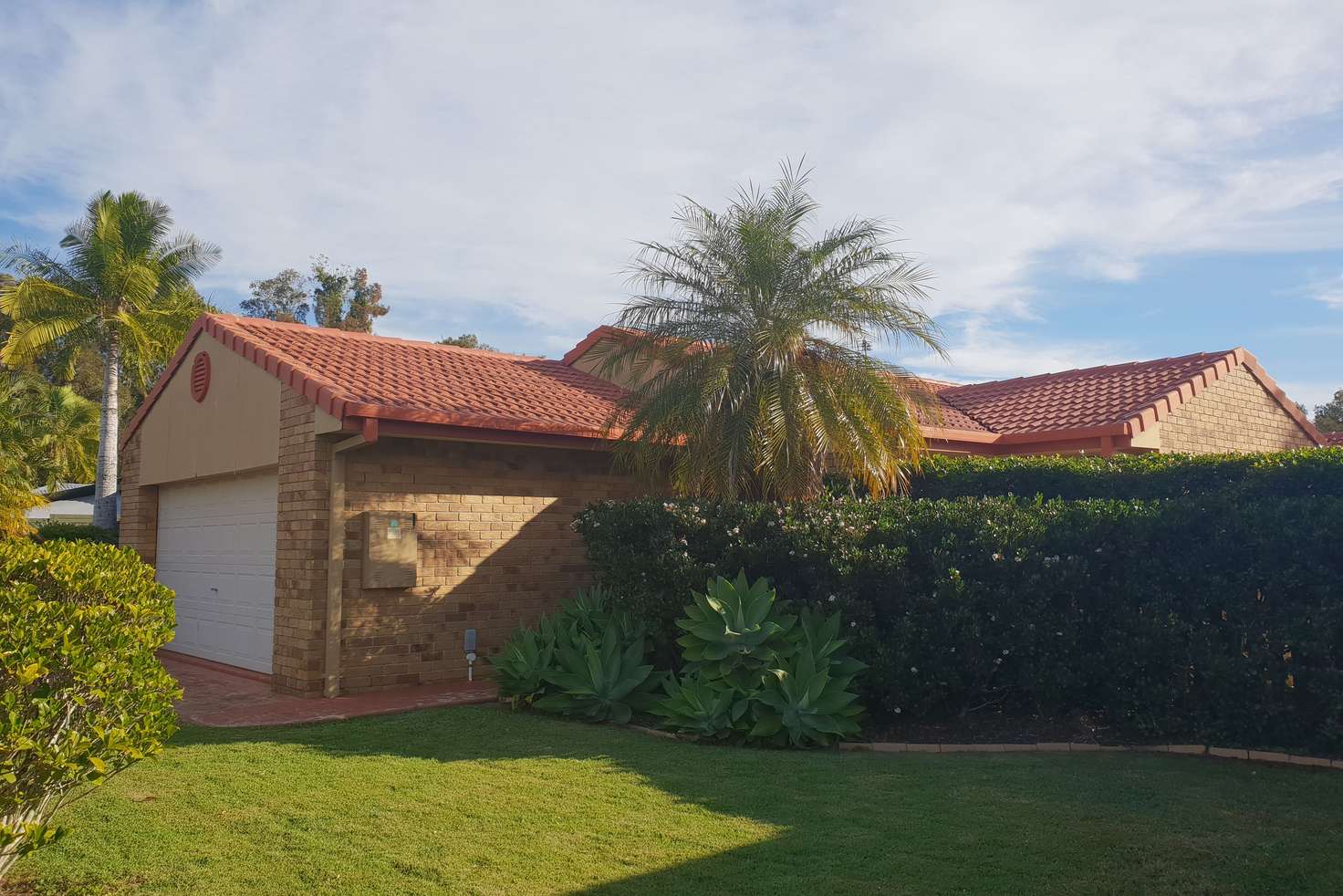 Main view of Homely house listing, 35 Numbat Court West, Coombabah QLD 4216