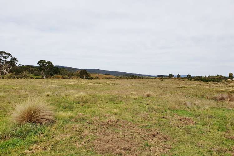 Fourth view of Homely ruralOther listing, 4687 Cooma Road, Braidwood NSW 2622