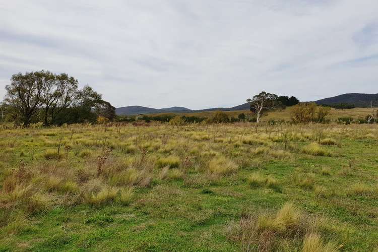 Fifth view of Homely ruralOther listing, 4687 Cooma Road, Braidwood NSW 2622