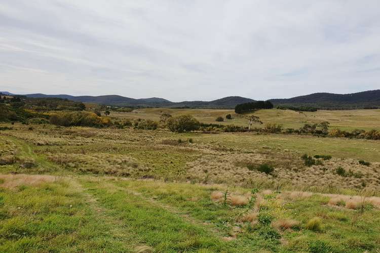Seventh view of Homely ruralOther listing, 4687 Cooma Road, Braidwood NSW 2622