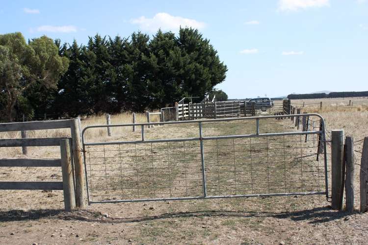 Second view of Homely livestock listing, Outpaddock Oswells Road, Boorcan VIC 3265