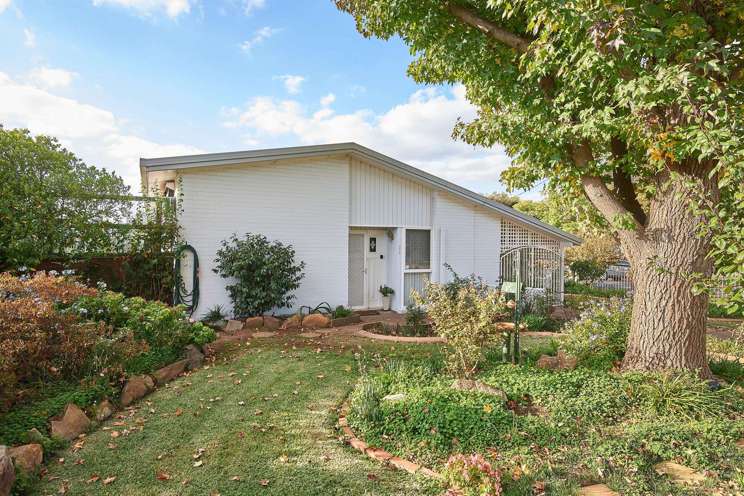 Main view of Homely house listing, 25 Ashmont Avenue, Ashmont NSW 2650