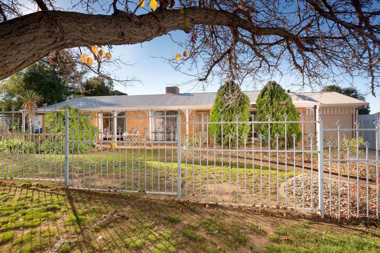 Main view of Homely house listing, 171 Murray Street, Rutherglen VIC 3685