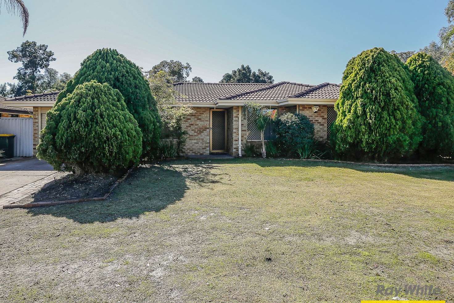 Main view of Homely house listing, 20 Meadowview Drive, Ballajura WA 6066