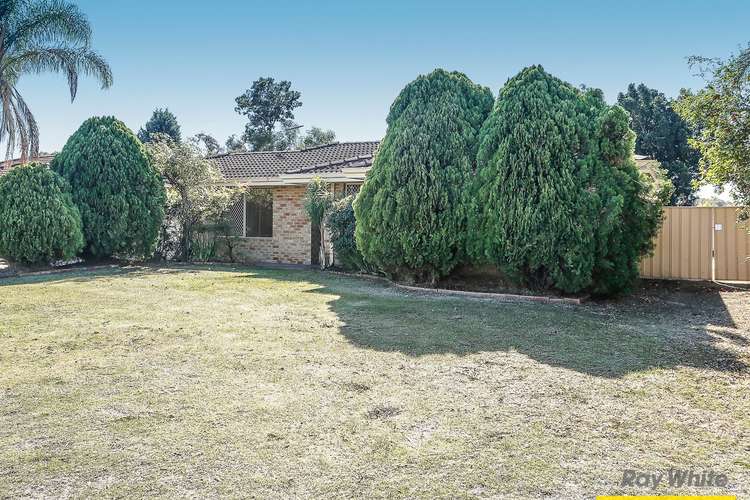 Third view of Homely house listing, 20 Meadowview Drive, Ballajura WA 6066