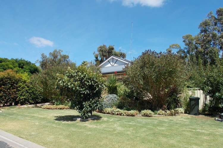 Main view of Homely house listing, 5 Osborne Court, Bordertown SA 5268