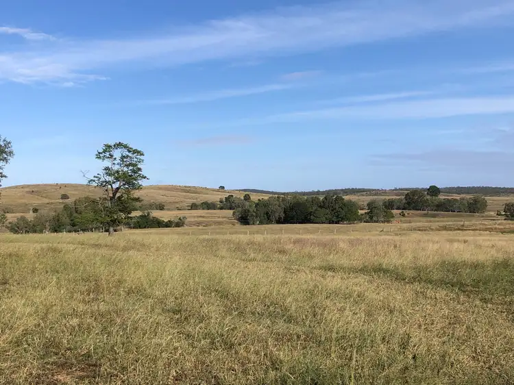 Main view of Homely rural property listing, 1031 Darts Creek Road, Darts Creek QLD 4695