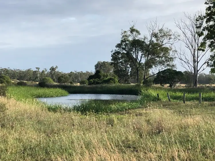 Third view of Homely rural property listing, 1031 Darts Creek Road, Darts Creek QLD 4695