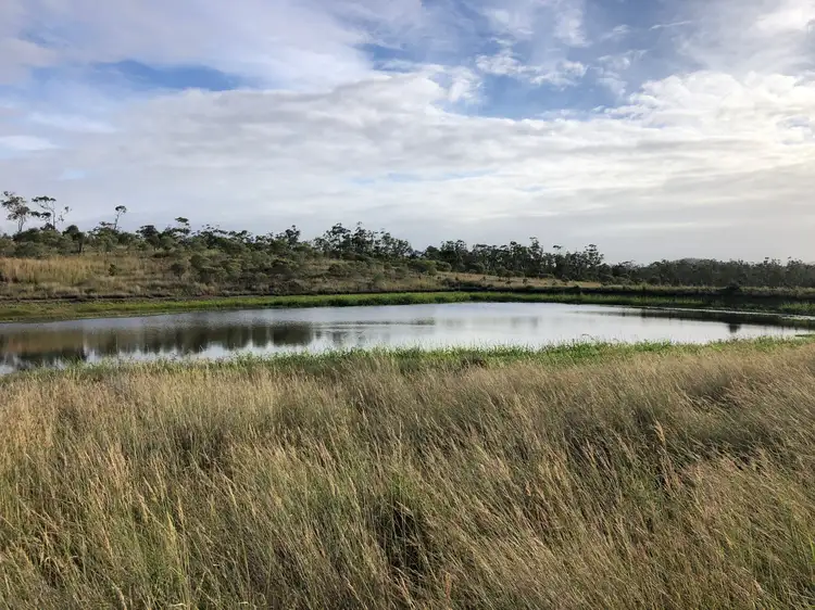 Fourth view of Homely rural property listing, 1031 Darts Creek Road, Darts Creek QLD 4695