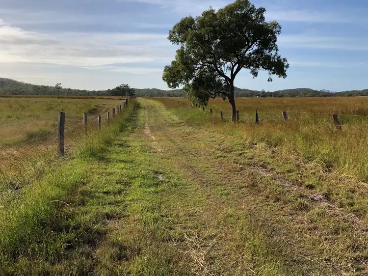 Seventh view of Homely rural property listing, 1031 Darts Creek Road, Darts Creek QLD 4695