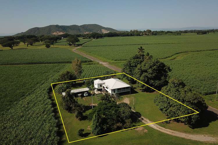 Main view of Homely house listing, 75 Farrell Drive, Macknade QLD 4850