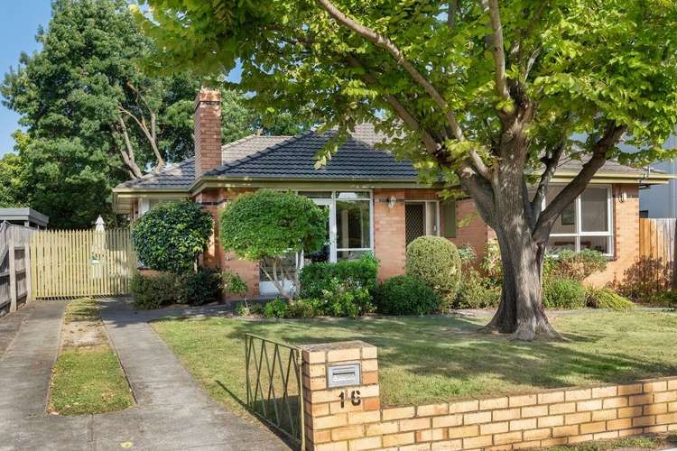 Main view of Homely house listing, 16 Rishon Avenue, Blackburn South VIC 3130