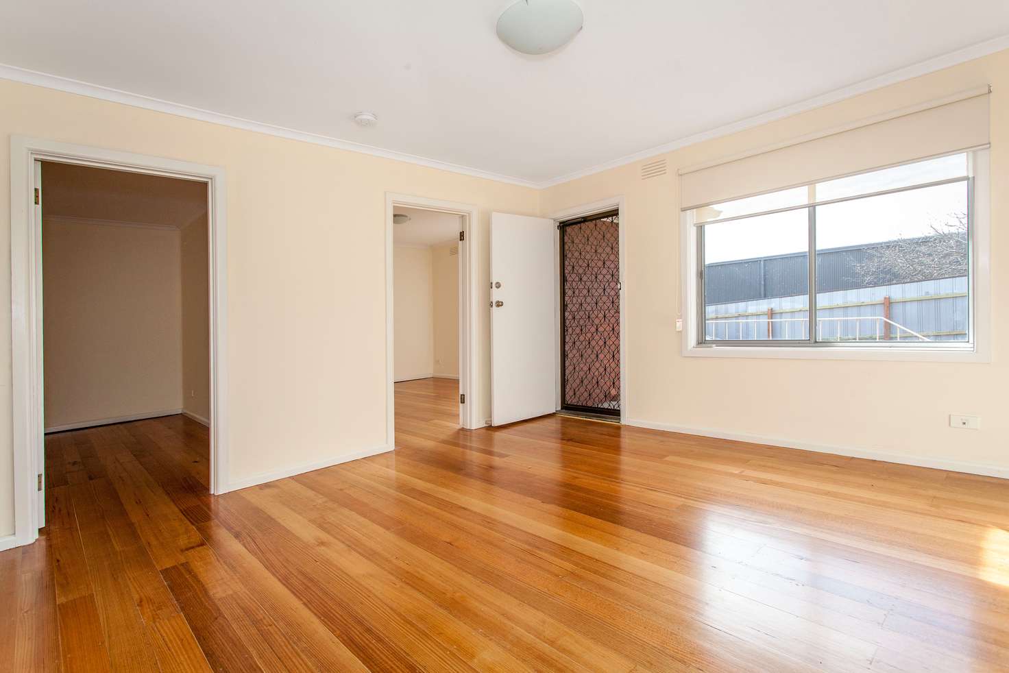 Main view of Homely unit listing, 5/54 Myrtle Street, Ivanhoe VIC 3079