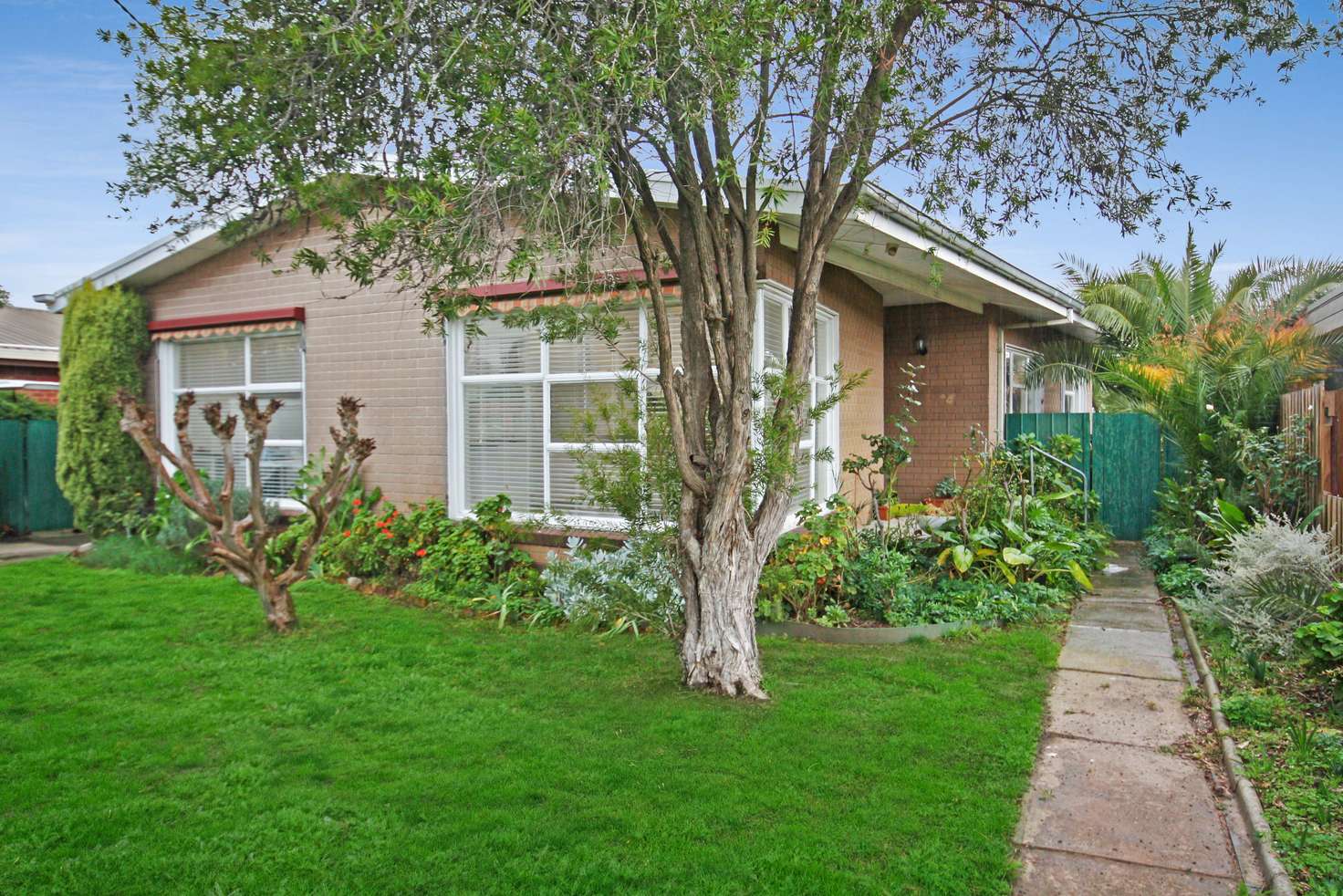 Main view of Homely house listing, 50 Cook Street, Benalla VIC 3672