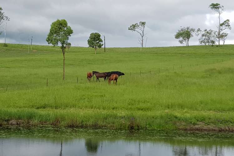 Second view of Homely house listing, 161 Dead Horse Lane, Toogoolawah QLD 4313