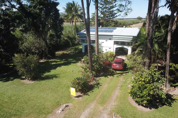 Main view of Homely house listing, 464 Sunnybank Road, Braemeadows QLD 4850
