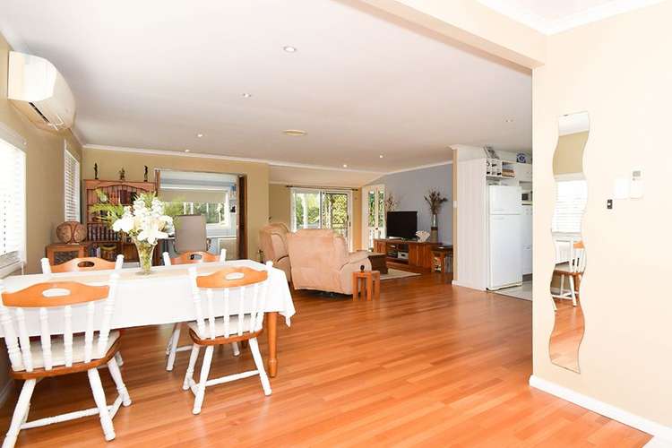 Fifth view of Homely house listing, 46 Avocado Crescent, Bli Bli QLD 4560