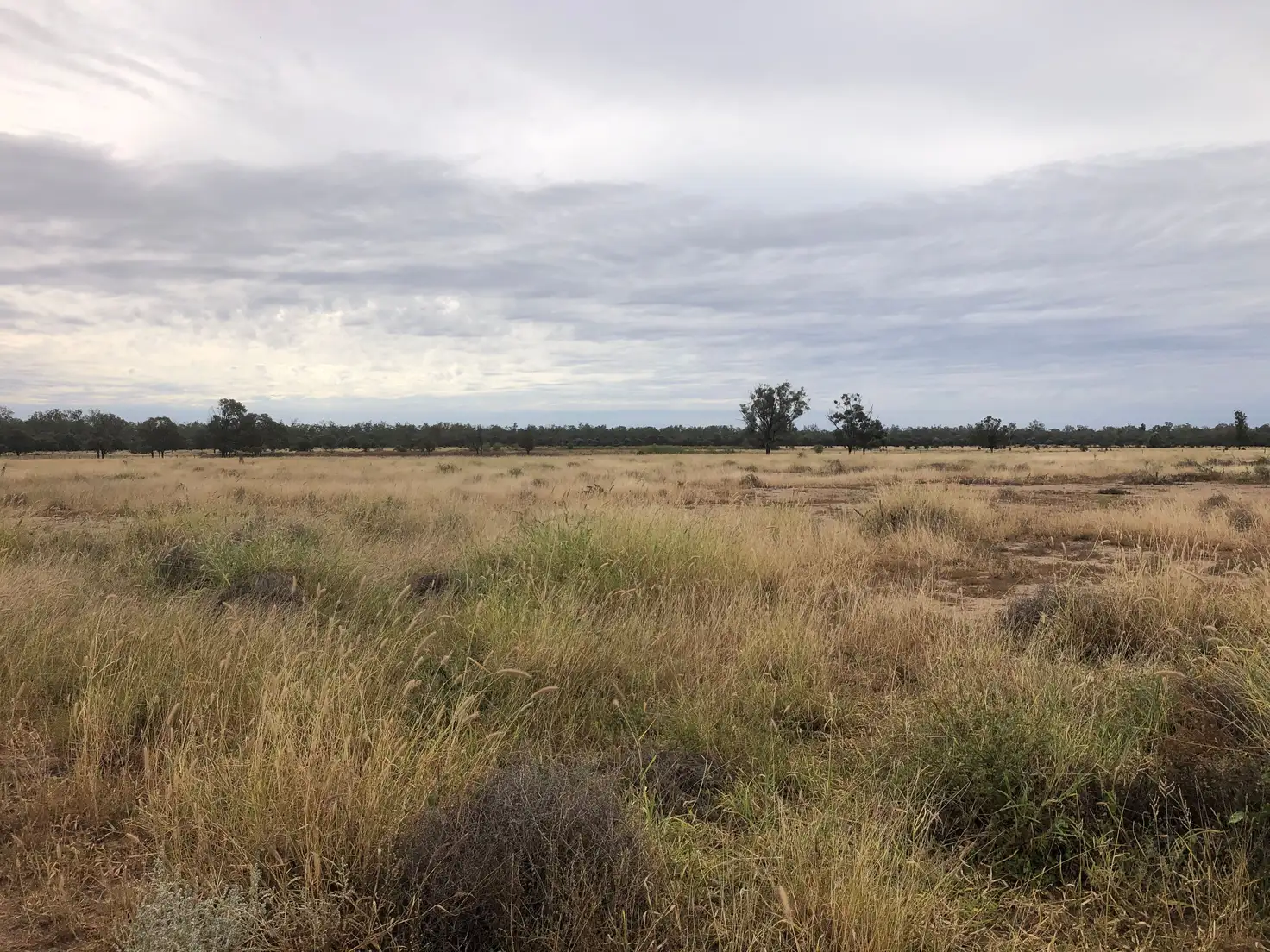 Main view of Homely rural property listing, 1617 Bundalba Road, Goovigen QLD 4702