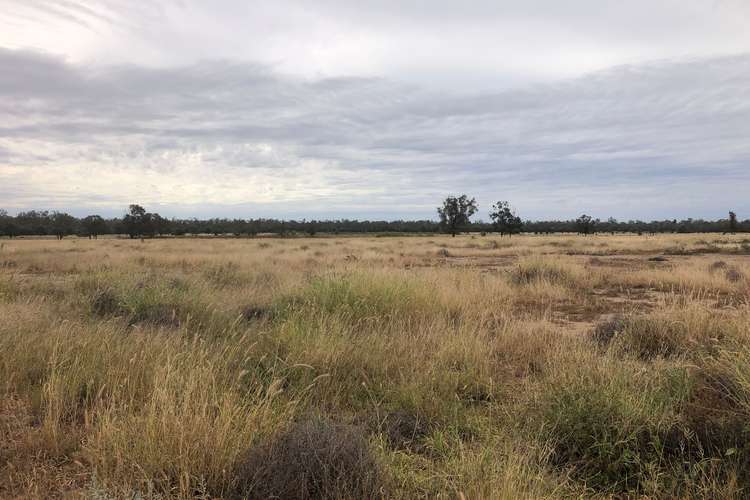 Main view of Homely livestock listing, 1617 Bundalba Road, Goovigen QLD 4702