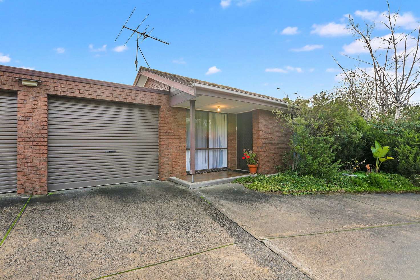Main view of Homely house listing, 5/47 Torquay Road, Belmont VIC 3216