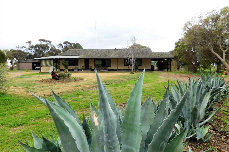 Main view of Homely farmlet listing, 17809 Dukes Highway, Bordertown SA 5268