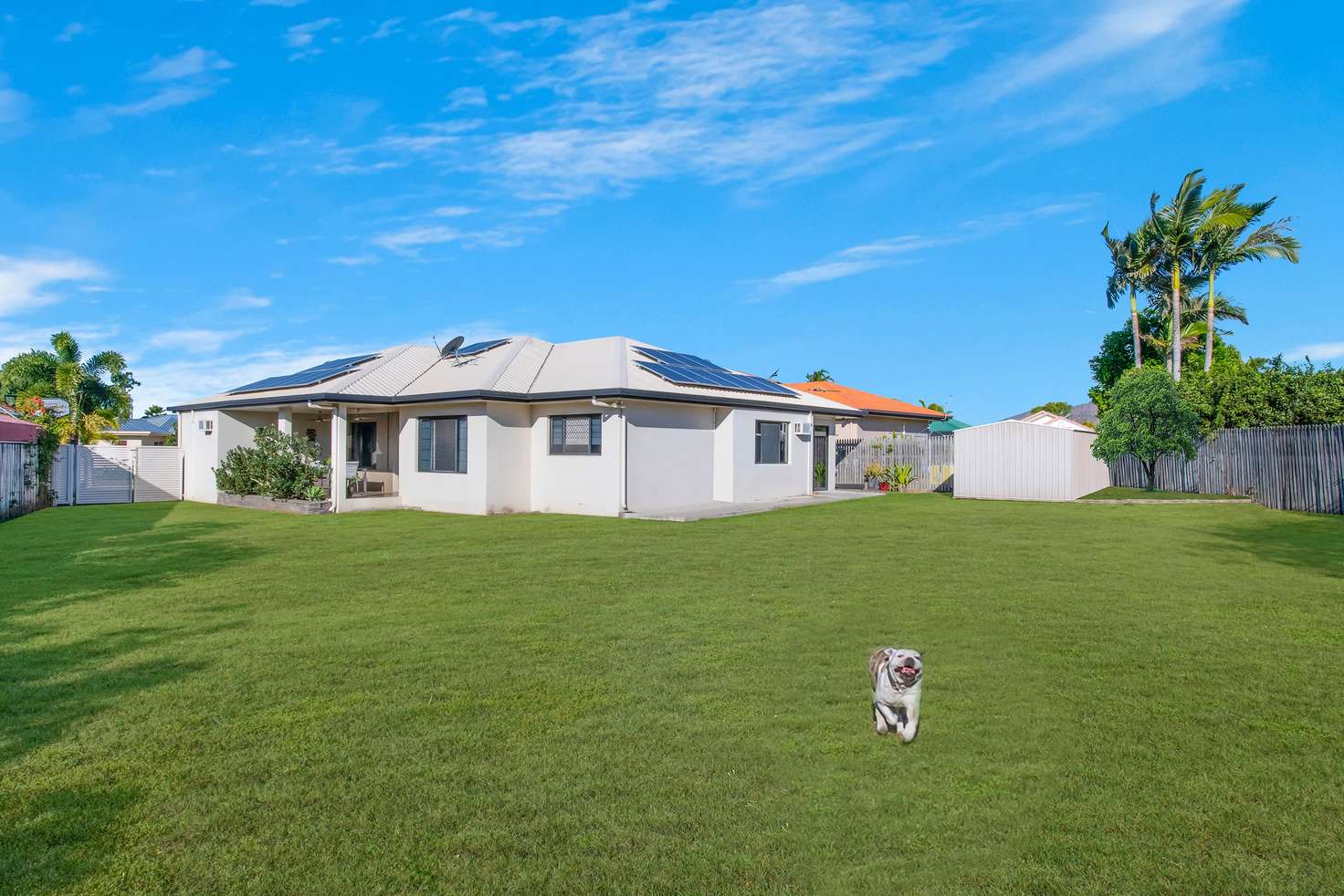 Main view of Homely house listing, 14 Brooklyn Court, Annandale QLD 4814