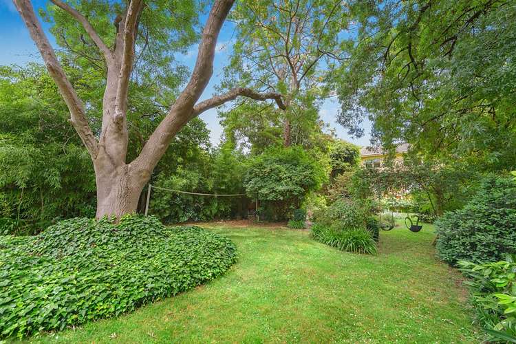 Main view of Homely house listing, 50 Boisdale Street, Surrey Hills VIC 3127