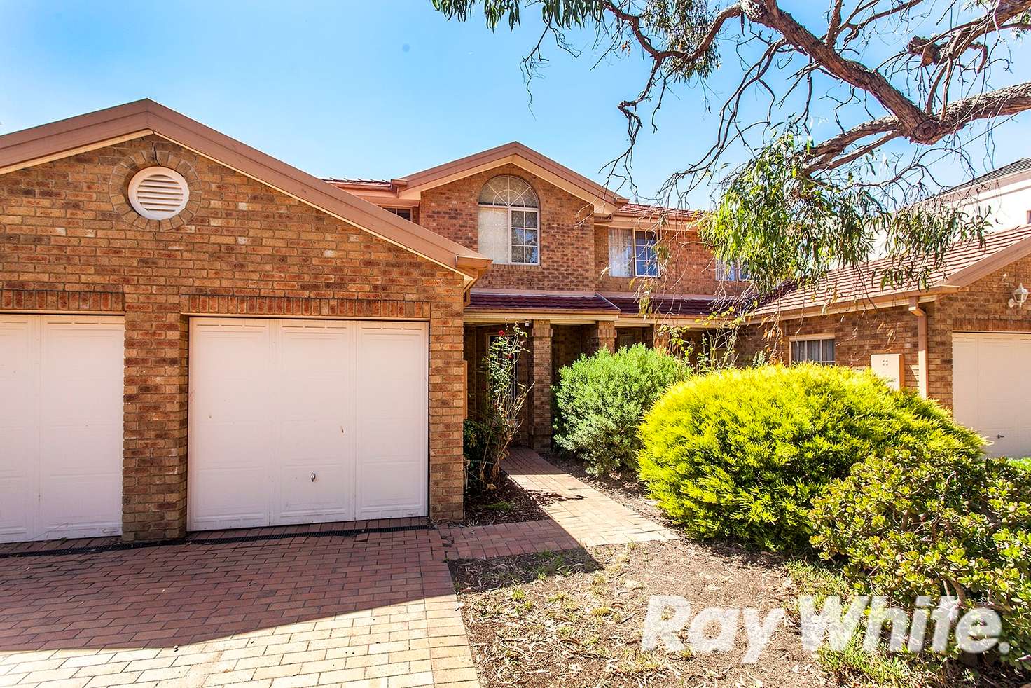 Main view of Homely townhouse listing, 33 Springfield Road, Blackburn North VIC 3130