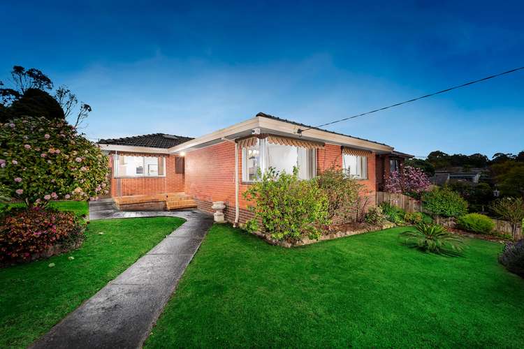 16 Coppabella Way, Vermont South VIC 3133