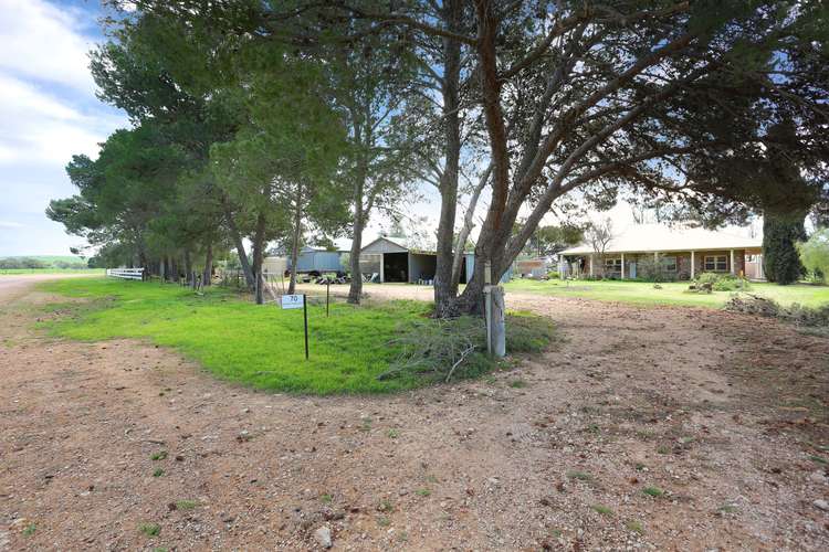 Second view of Homely house listing, 70 Barunga Homestead Road, Snowtown SA 5520