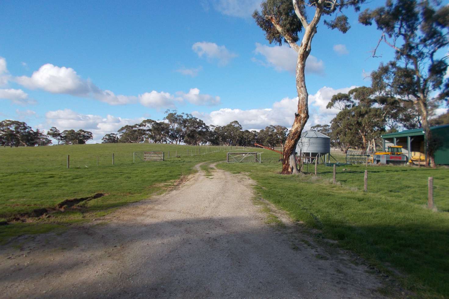 Main view of Homely ruralOther listing, 77 O'Connells Road, Bordertown SA 5268