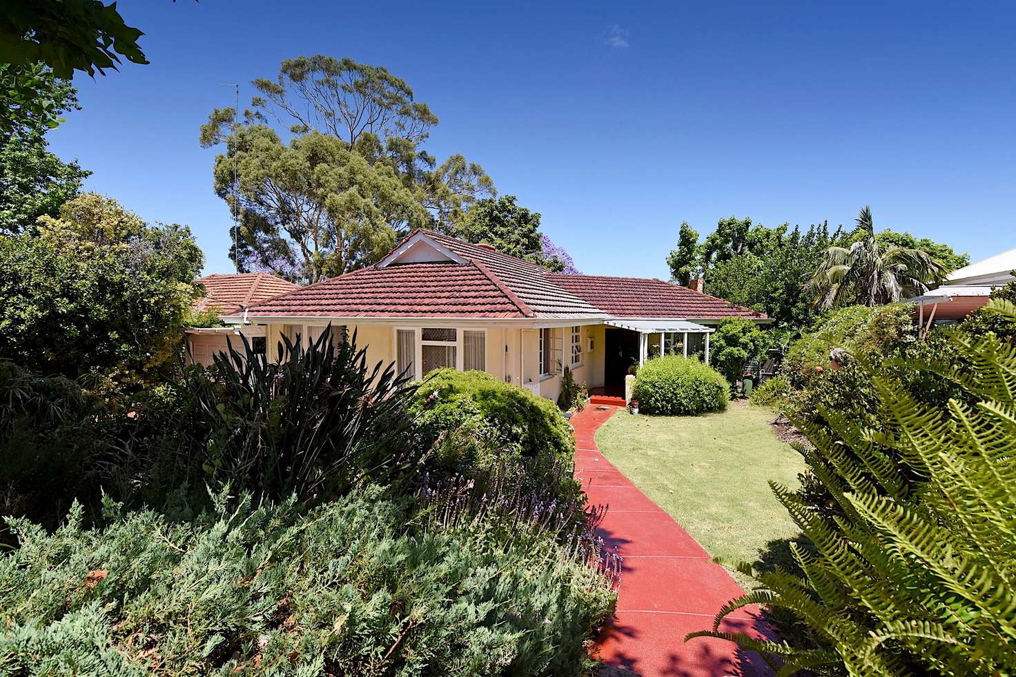 Main view of Homely house listing, 111 Rosedale Street, Floreat WA 6014