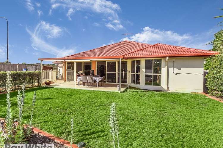 Third view of Homely house listing, 9 Mcniven Court, North Lakes QLD 4509