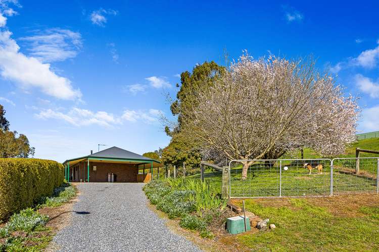 Third view of Homely house listing, 5 Lungenmuss Court, Nairne SA 5252