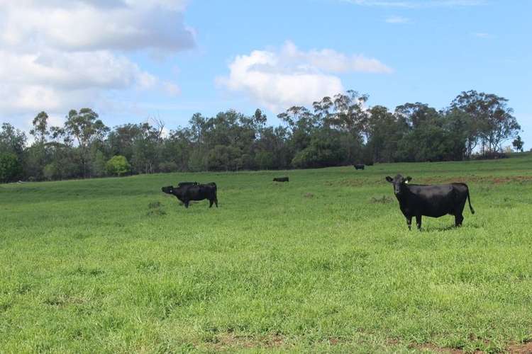 " Gunna Gumpy", Bingara NSW 2404