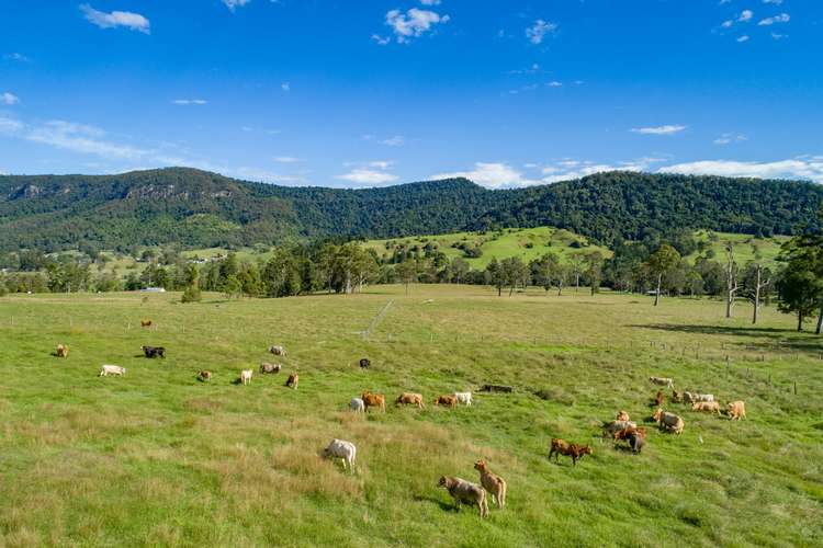 Second view of Homely ruralOther listing, Lot 2, 2325 Nerang Murwillumbah Road, Numinbah Valley QLD 4211