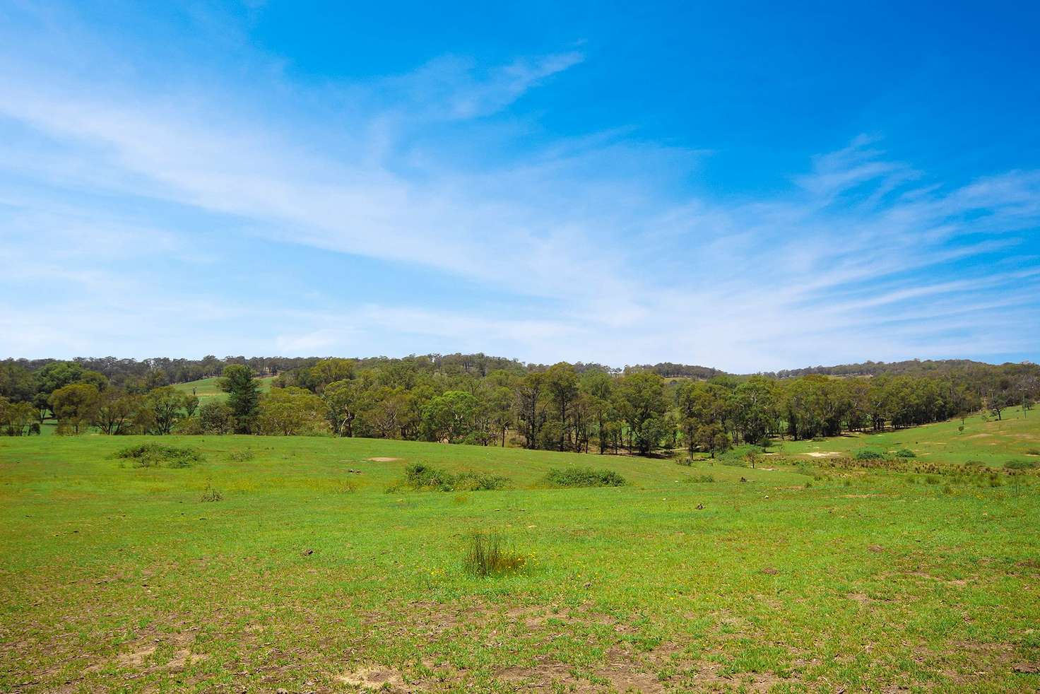 Main view of Homely ruralOther listing, 1760 Canyonleigh Road, Canyonleigh NSW 2577