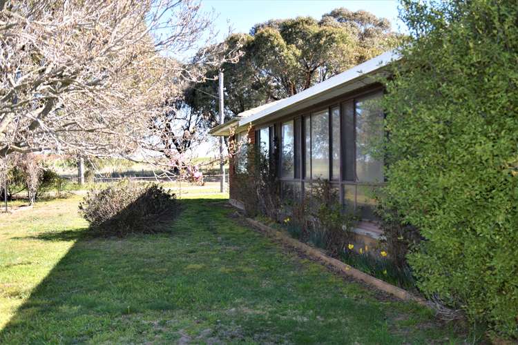 Sixth view of Homely ruralOther listing, 93 Peppermint Lane, Tallwood NSW 2798