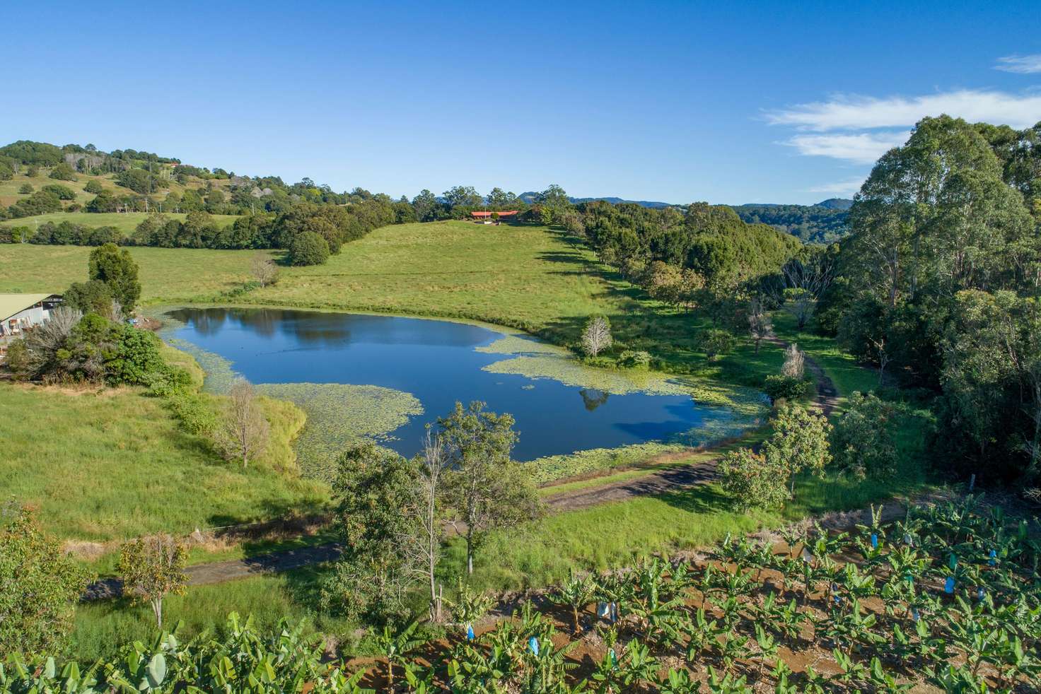 Main view of Homely ruralOther listing, 840 Terranora Road, Bungalora NSW 2486