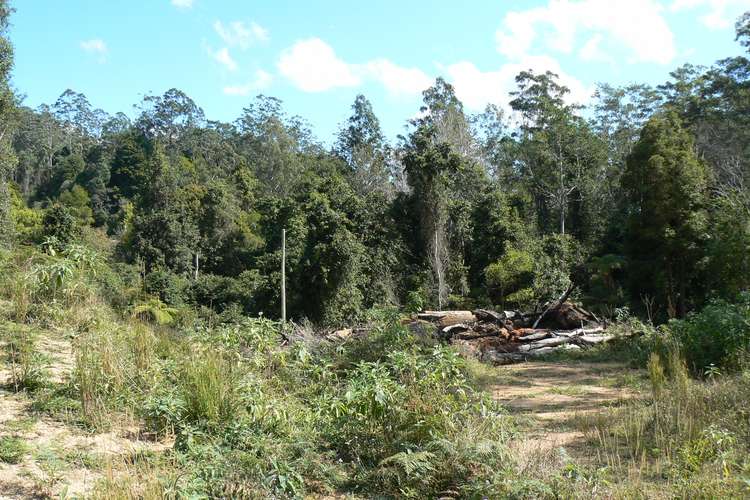 Sixth view of Homely ruralOther listing, 1243 Kalang Road, Bellingen NSW 2454