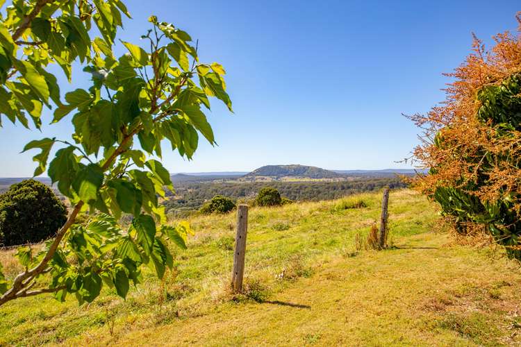 Fourth view of Homely acreageSemiRural listing, 396 Stewart Road, Coondoo QLD 4570