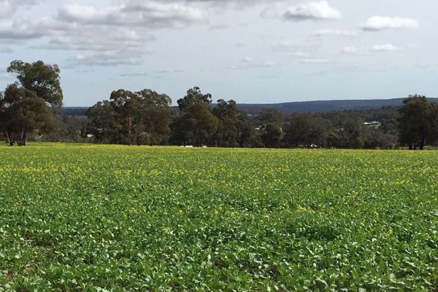 Main view of Homely ruralOther listing, Boase Road Farm, Bakers Hill WA 6562