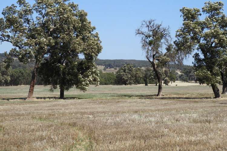 Second view of Homely ruralOther listing, Boase Road Farm, Bakers Hill WA 6562