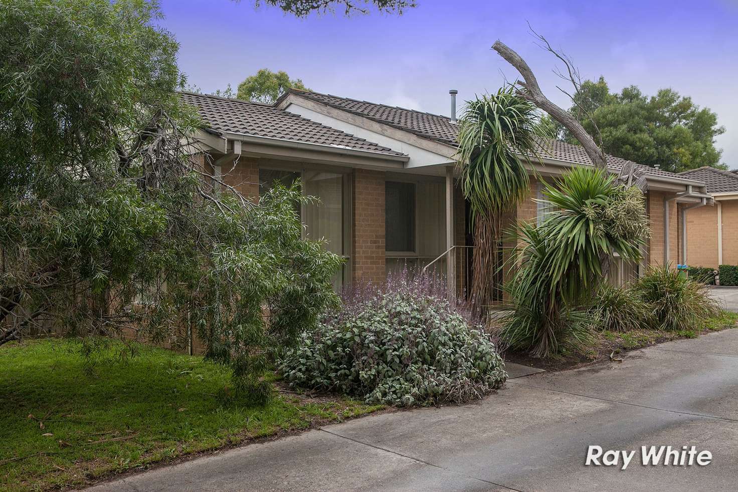 Main view of Homely unit listing, 1/47 Robert Street, Somerville VIC 3912