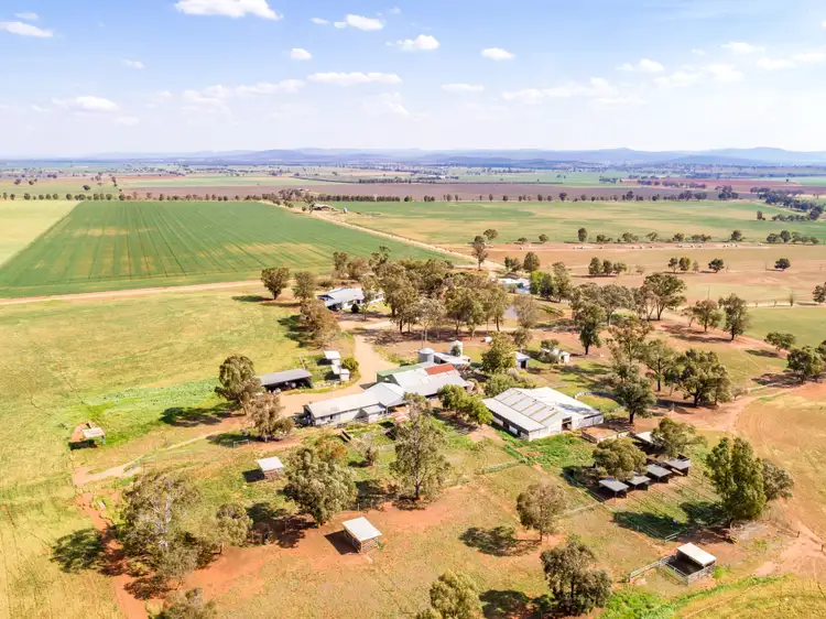 191 Troopers Road, Canowindra NSW 2804