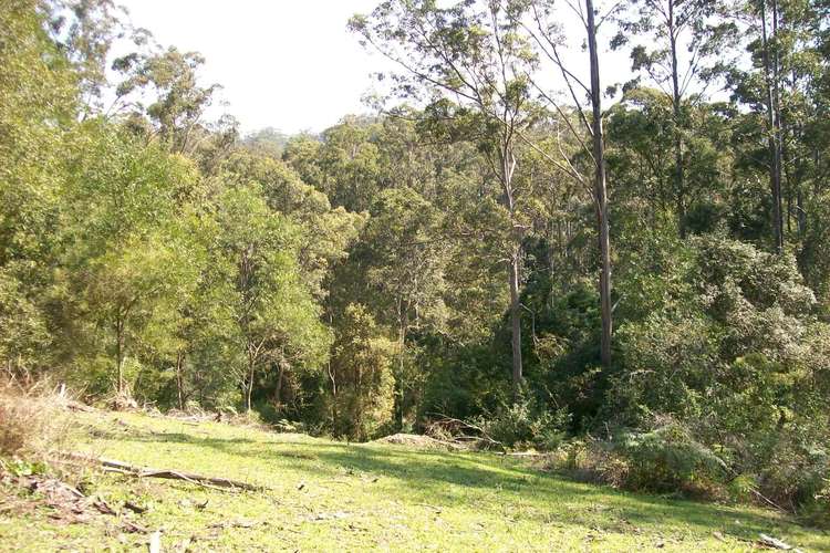 Fifth view of Homely ruralOther listing, 54 McDougal Place Fernmount, Bellingen NSW 2454