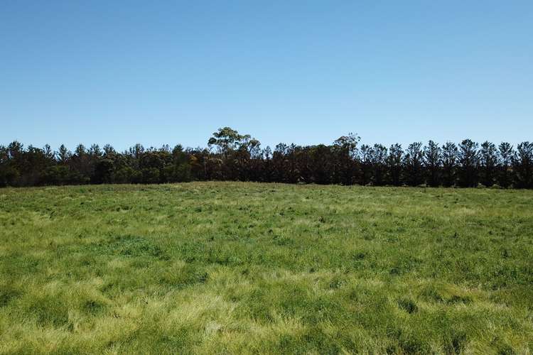 Third view of Homely ruralOther listing, 95 Black Lane, Armidale NSW 2350